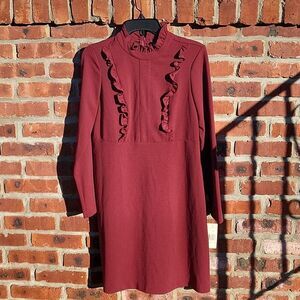 Burgandy Professional Dress